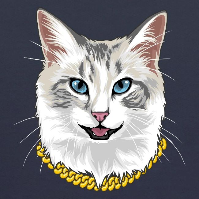 Cashmere the Cat