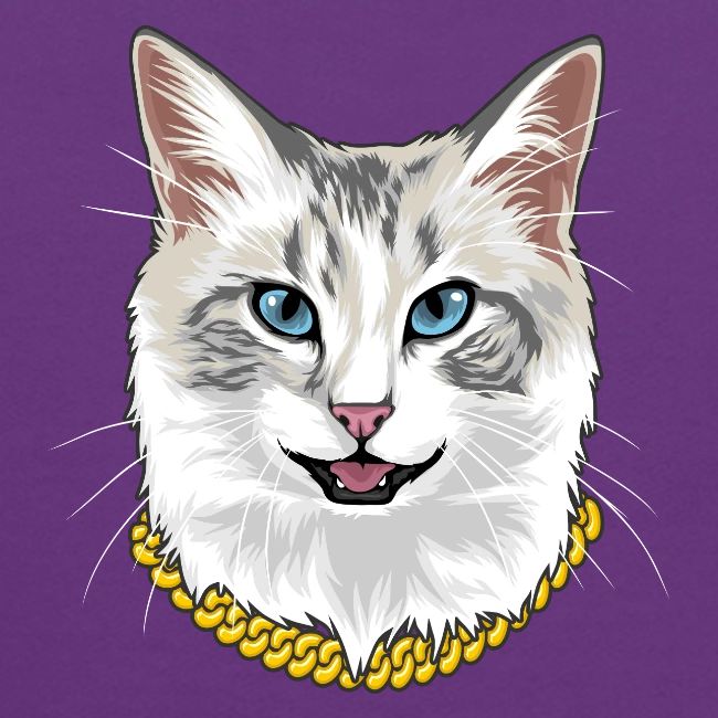 Cashmere the Cat