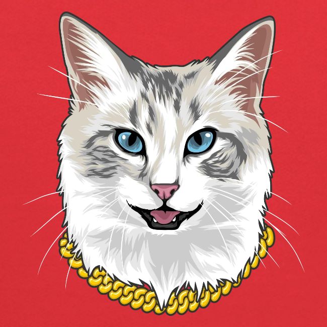 Cashmere the Cat