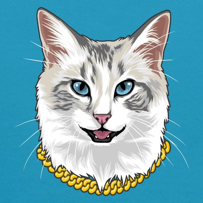 Cashmere the Cat