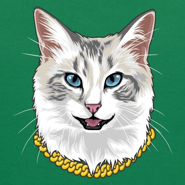 Cashmere the Cat