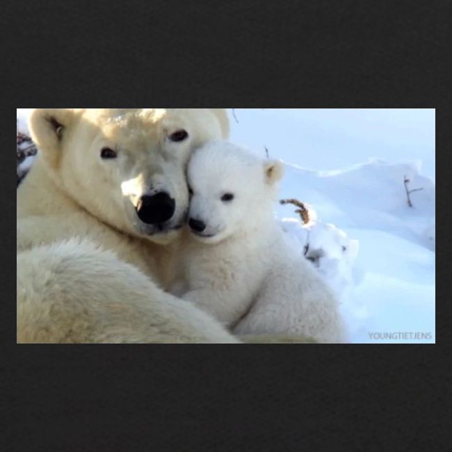 polarbearhug