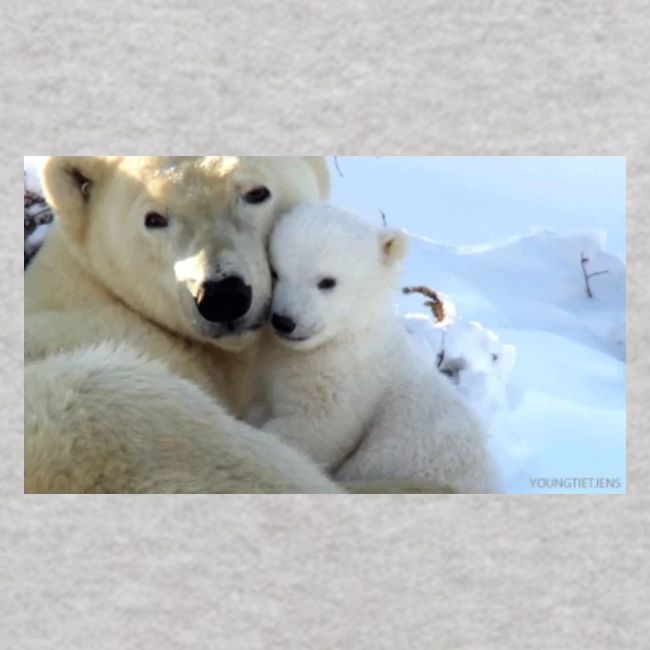 polarbearhug