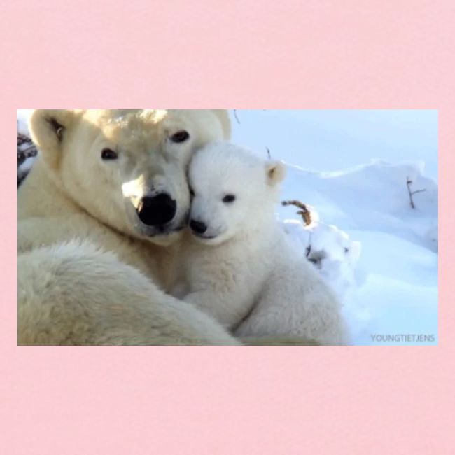 polarbearhug