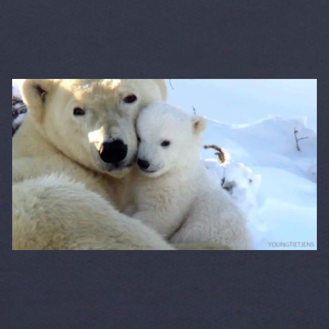 polarbearhug