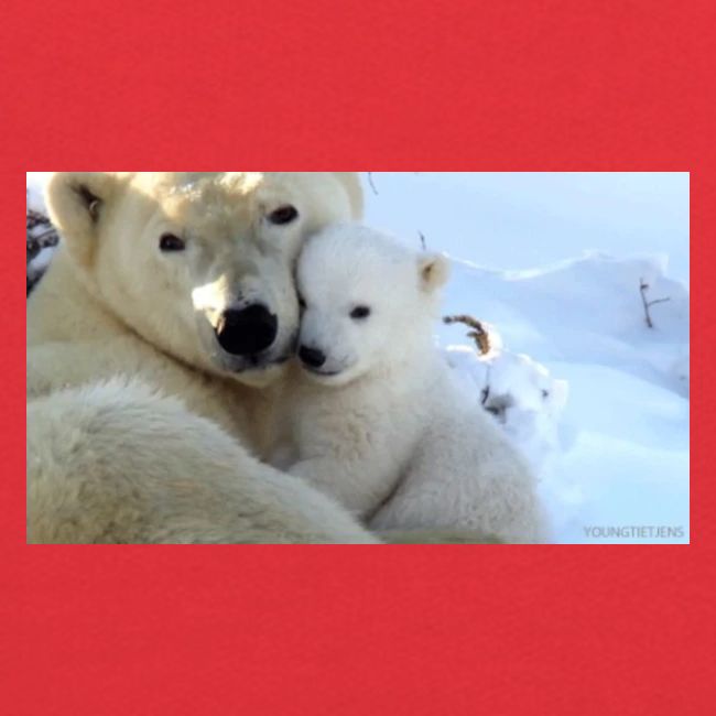 polarbearhug