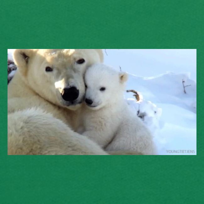 polarbearhug