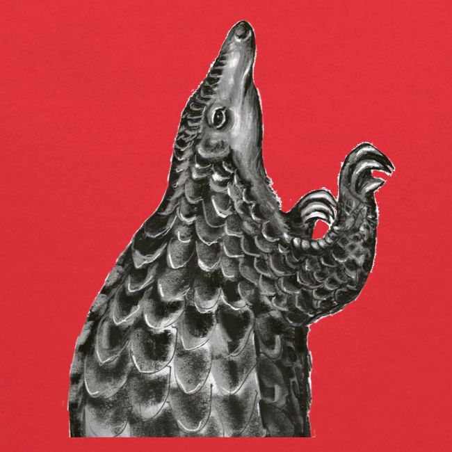 Pangolin transparent background