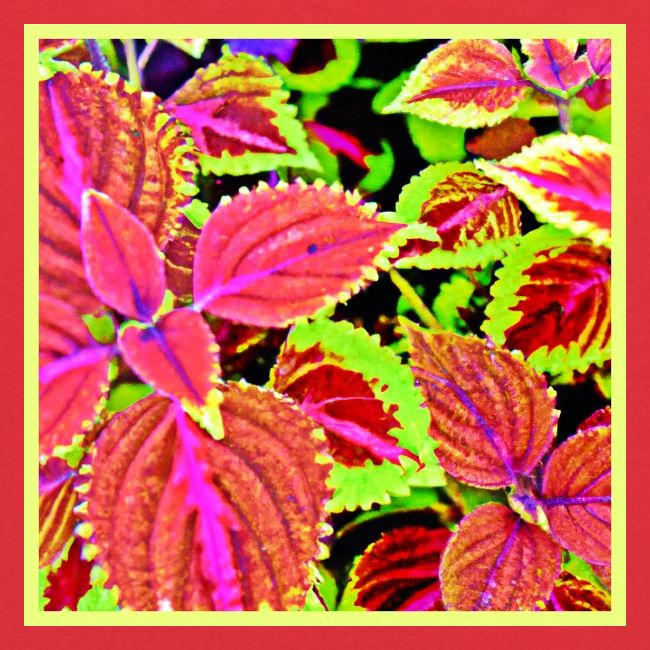 Vibrant RadiantLeaf Dreams Pattern