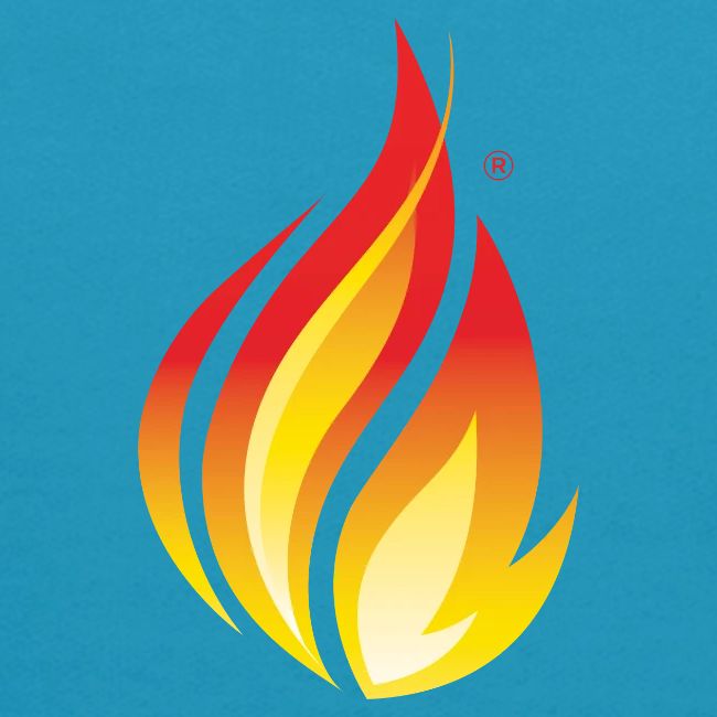 HL7 FHIR Flame Logo