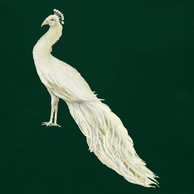 White peacock