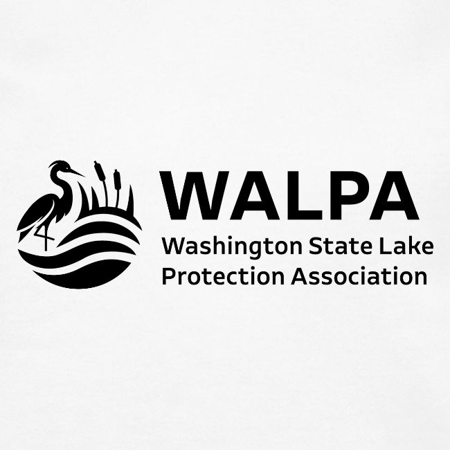 WALPA 1 Black