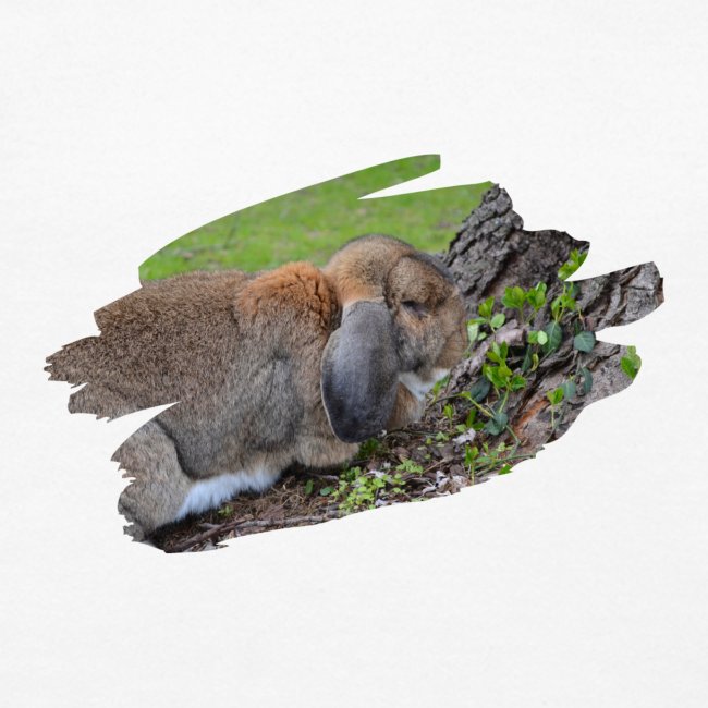 French Lop Brush Stroke