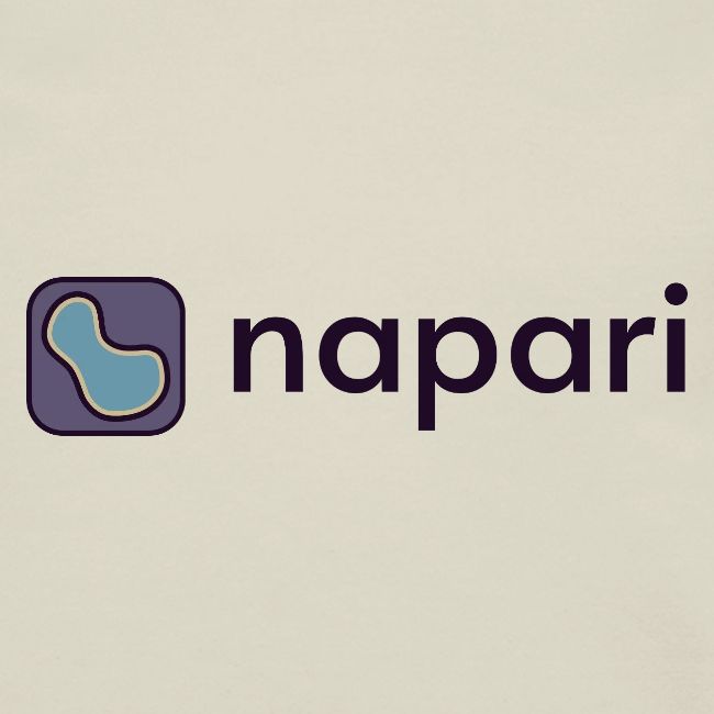 napari merch