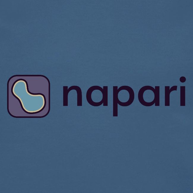 napari merch