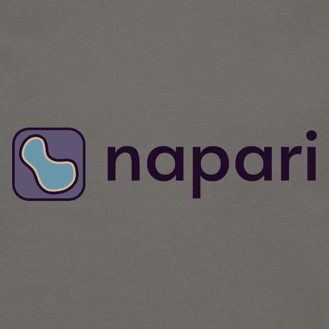 napari merch