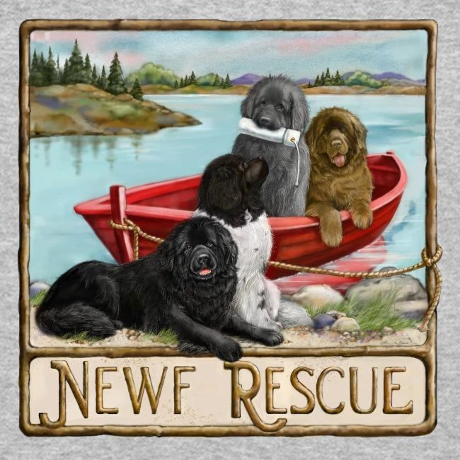 NCA Newfoundland Dog Rescue Gear