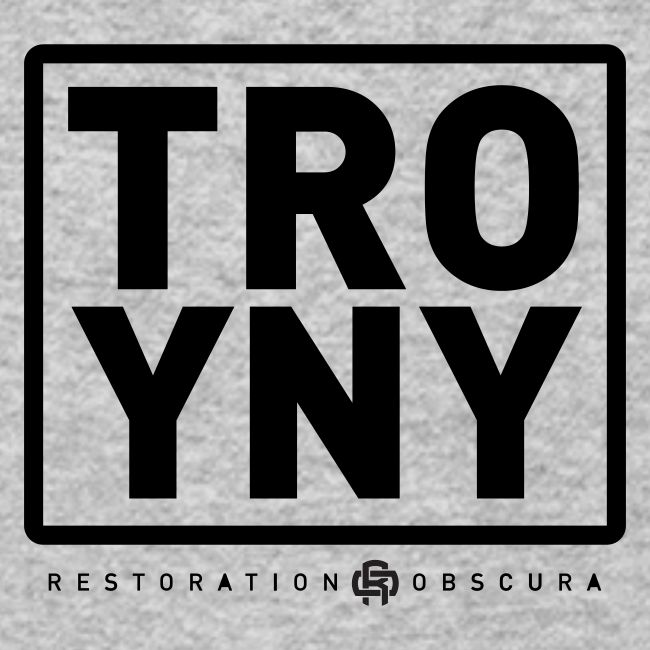 TROY NY Cube