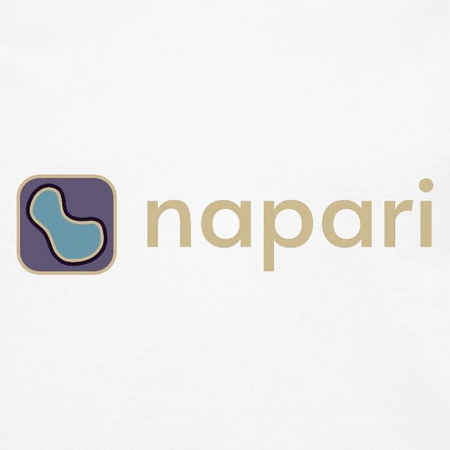 napari merch (lighter design)