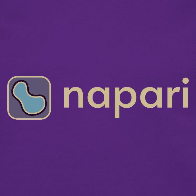 napari merch (lighter design)
