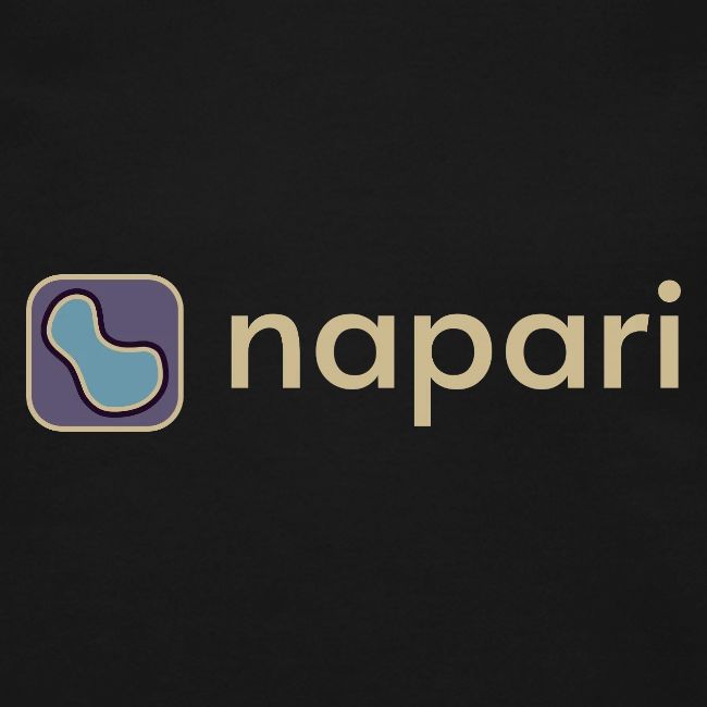 napari merch (lighter design)