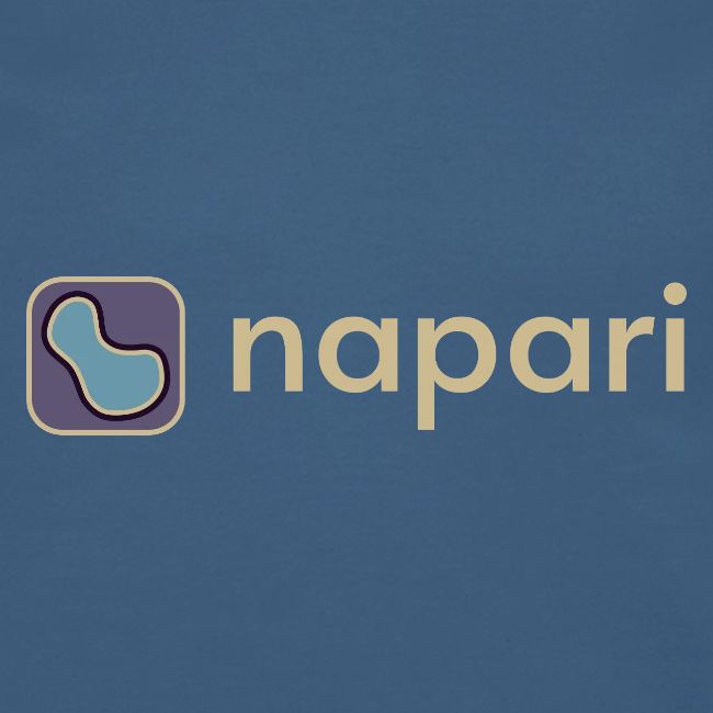 napari merch (lighter design)