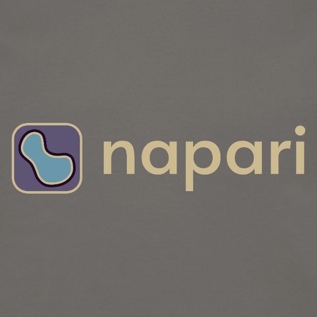 napari merch (lighter design)