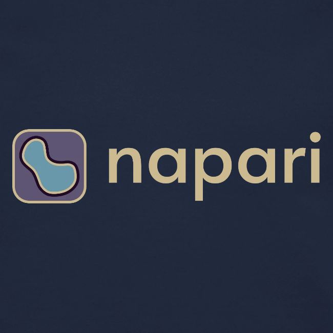 napari merch (lighter design)