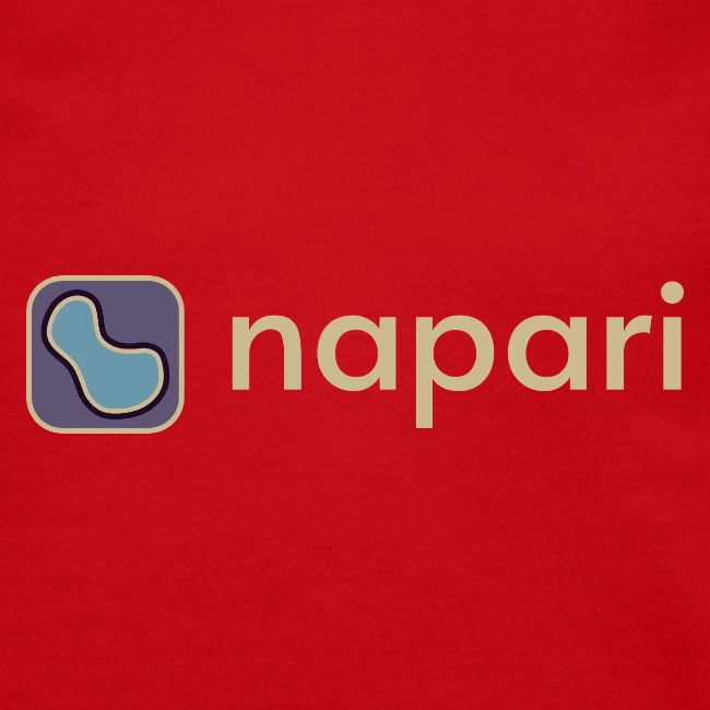 napari merch (lighter design)