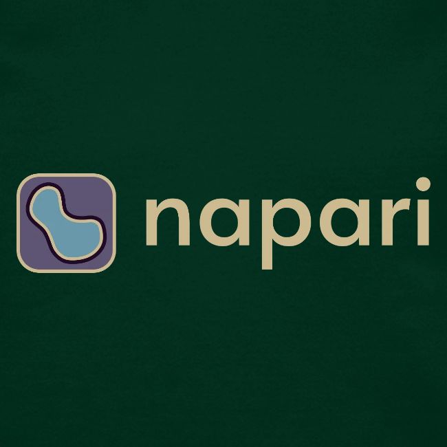 napari merch (lighter design)