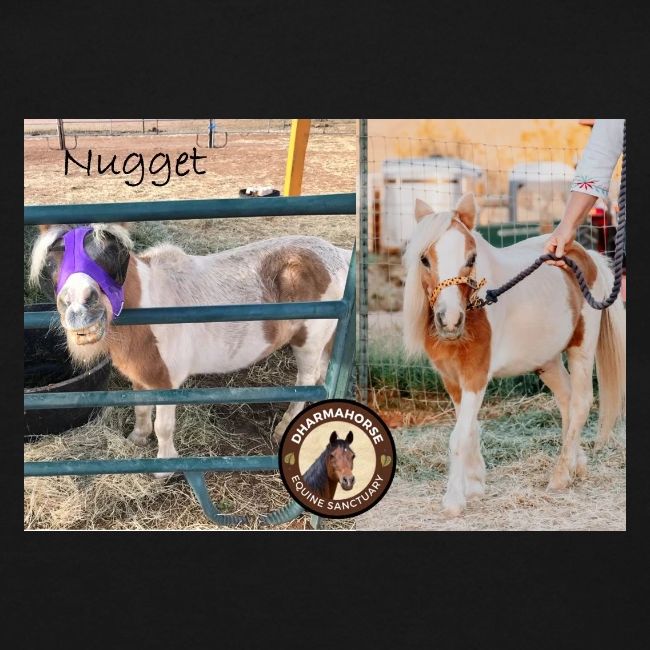 Nugget