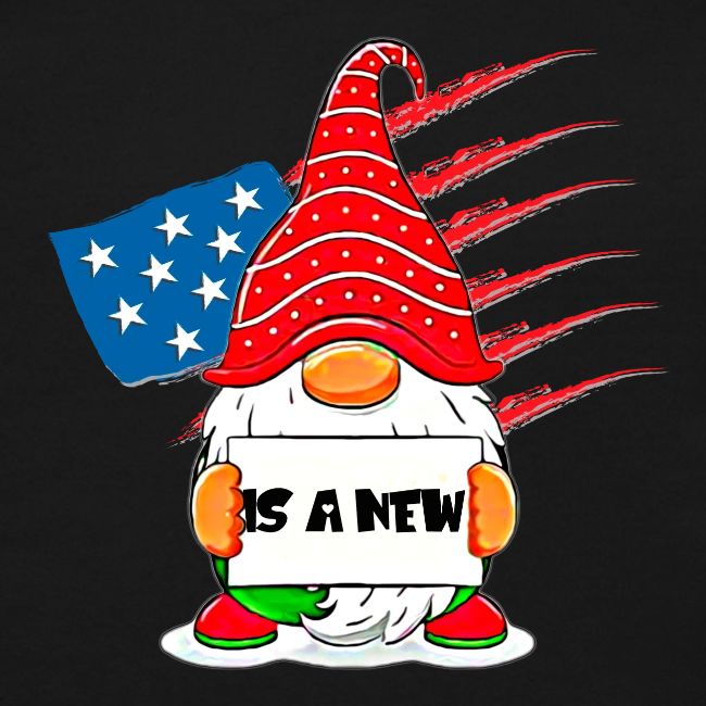 Christmas funny gnomes