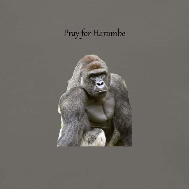 Pray for Harambe