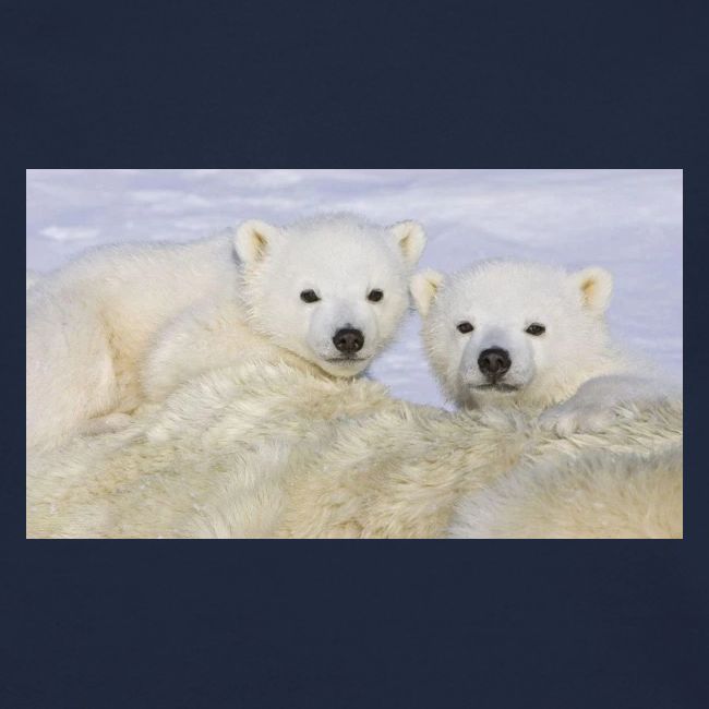 polarbears
