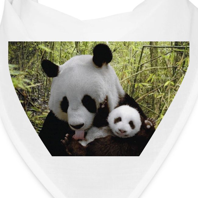 panda