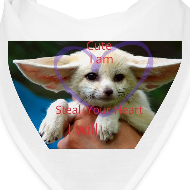 baby fox