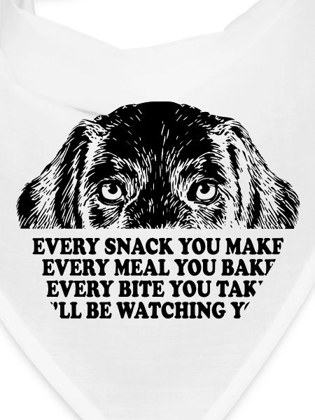 Dog Watching Snack Meal Bite