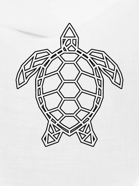 turtle polygon
