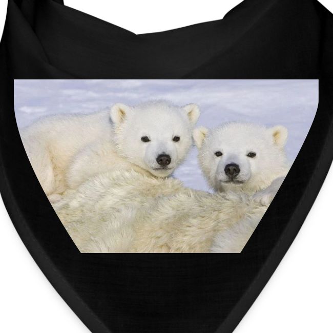 polarbears