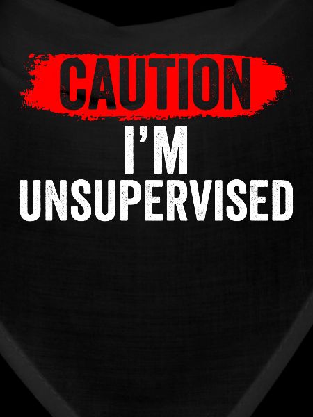 Caution I'm Unsupervised Sarcastic Sarcasm