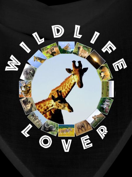 Wildlife Lover Blue Sky Giraffes