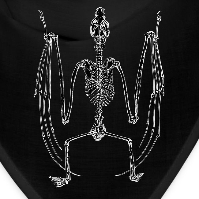 Bat Skeleton