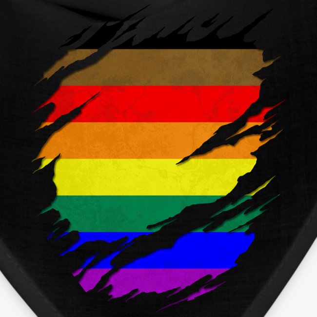 Philly LGBTQ Gay Pride Flag Ripped Reveal