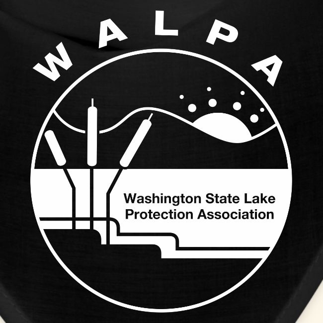 white logo