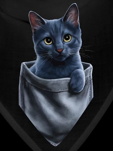 Russian Blue Cat In Pocket