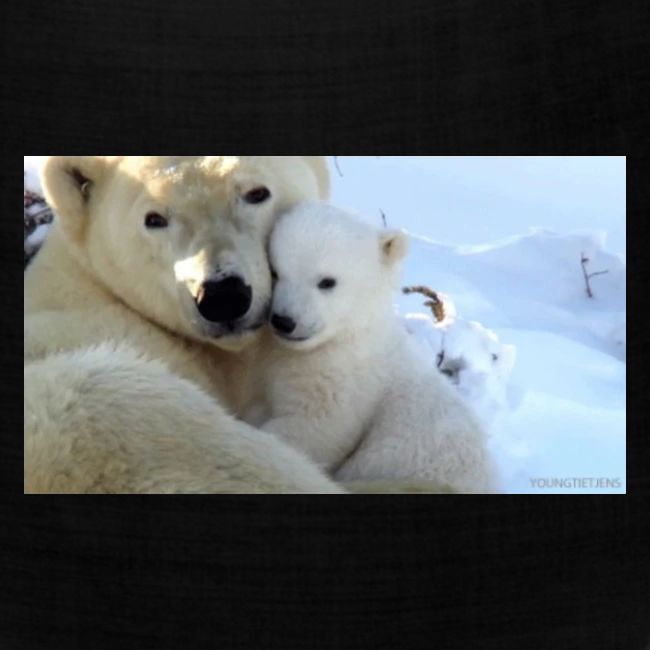 polarbearhug