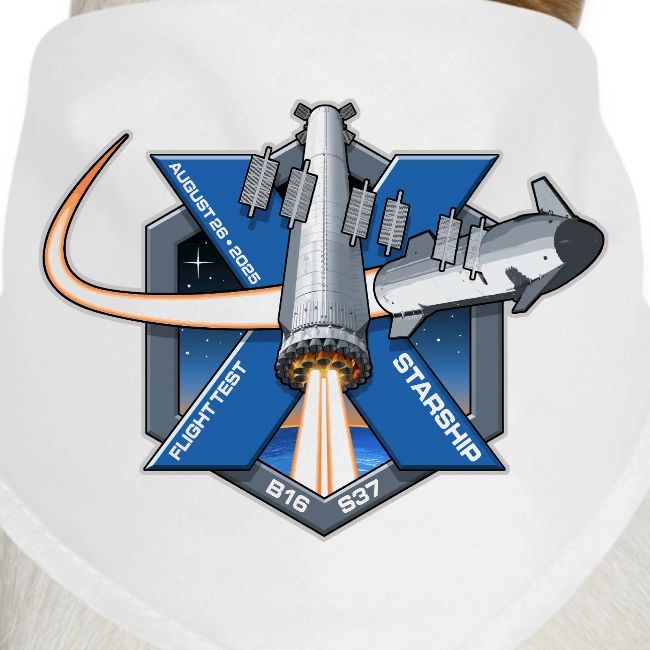 Starship Flight 10 Patch