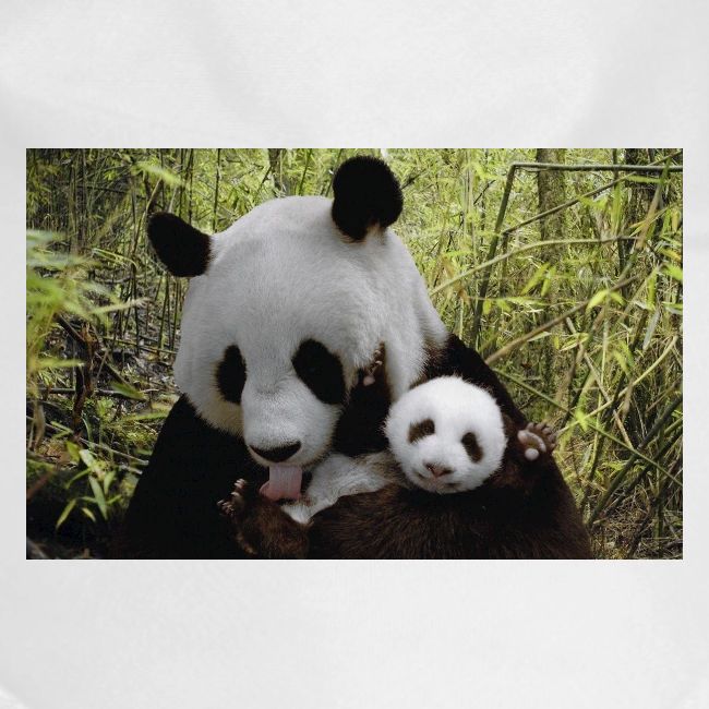 panda