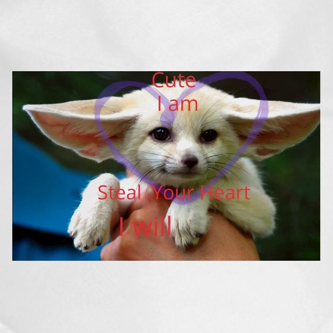 baby fox