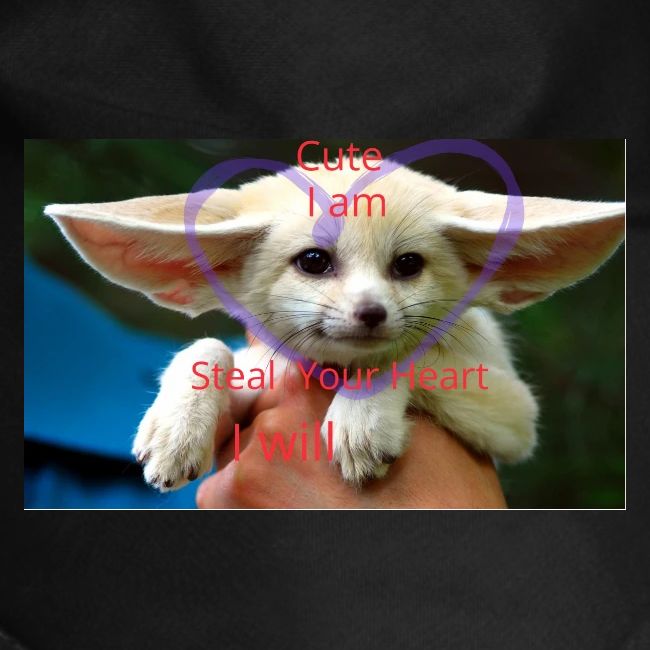 baby fox